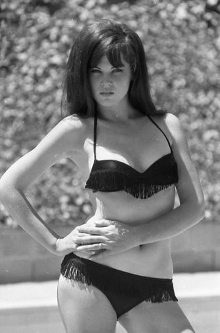 1960s Ron Vogel Negative,  Sexy Pin - Up Girl Michelle Nicol In Bikini,  T244462
