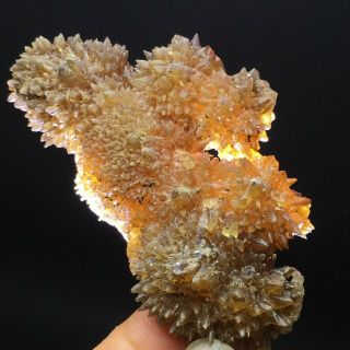 58gnew Find Rare Amber Calcite Phosphorescent Mineral Specimen