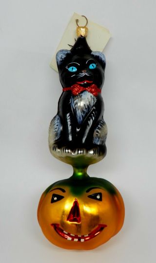 Radko Kitty Patch Blown Glass Halloween Christmas Ornament Pumpkin Cat