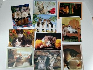 Cat Note Cards 10 Ct Cute Kittens Cat With Goldfish Cat Lover Cards Blank Inside