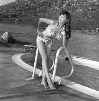 1960s Vogel Negative,  Sexy Pin - Up Girl Amber Day In Bikini,  Cheesecake,  T244141