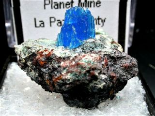 Minerals : Bright Blue Chalcanthite On Matrix From Arizona,  Usa