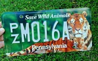 Pa Pennsylvania " Save Wild Animals " License Plate W/ Tiger & Cub Tag Pz Mo16a