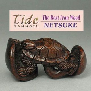 Boxwood Netsuke Turtle On Mushroom Carving Wn274