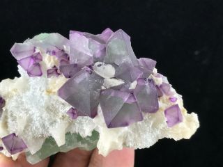 242g Purple and Green Octahedral Fluorite cluster on Quartz Matrix from De ' an 3