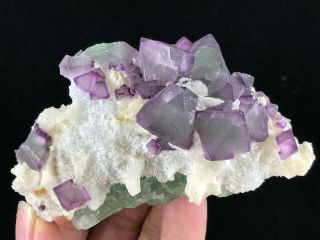 242g Purple and Green Octahedral Fluorite cluster on Quartz Matrix from De ' an 4