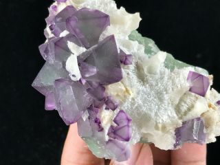 242g Purple and Green Octahedral Fluorite cluster on Quartz Matrix from De ' an 5