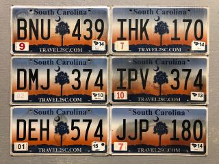South Carolina License Plate Palm Tree Moon Random Letters/ Numbers Craft Grade