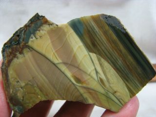 Blue Mountain Jasper Rough From Oregon Face Cut For Cabbing And Polishing