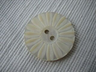 Vintage Medium 7/8 " Carved Mother Of Pearl Mop,  Shell Sew Through Button - Pd30