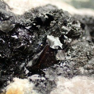Bitumen On Calcite From Rare Locality Mannbühl,  Germany