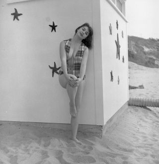 1960s Vogel Negative,  Sexy Brunette Pinup Girl Janet Steele,  Cheesecake,  T244031