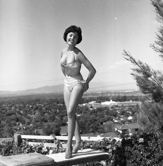 1960s Ron Vogel Negative,  Sexy Pinup Girl Lorraine Campbell,  Cheesecake,  T243943