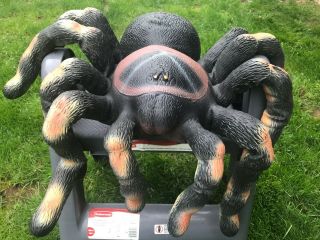 Large Giant Rubber Spider Decoration Halloween Novelty Toy Heavy Weight