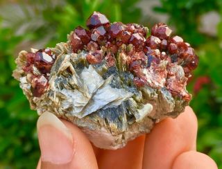 Wow 255 C.  T Top Quality Damage Terminated Red Color Garnet Bunch Specimen