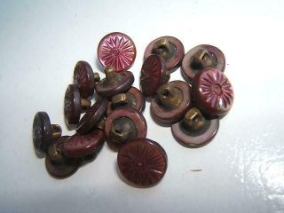 17 Vintage Red Mop Mother Of Pearl Shell Buttons W/ Brass Shank W/ Wear