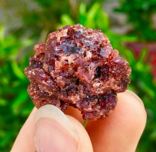 Wow 106 C.  T Top Quality Damage Terminated Red Color Garnet Bunch Specimen