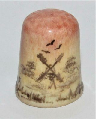 Vintage Hand Painted Ceramic Thimble - Signed Tip