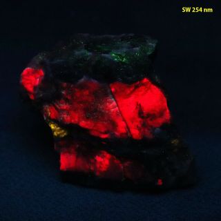 Bb: Eucryptite W/ Apatite - Bright Red & Gold Fl From Arizona