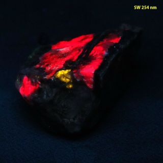 bb: Eucryptite w/ Apatite - Bright Red & Gold FL from Arizona 3