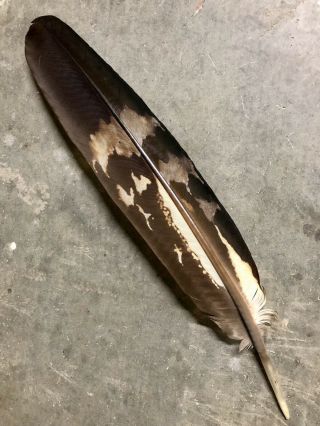 Best Imitation Eagle Feather,  Powwow Regalia,  Peyote Fan,  Smudge,  Dyed,  Ceremonial