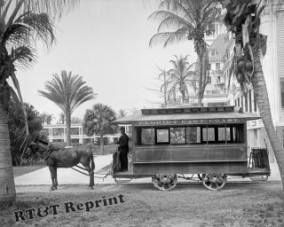 Photograph Vintage Palm Beach Florida Horse Drawn Trolley Car 1905 8x10