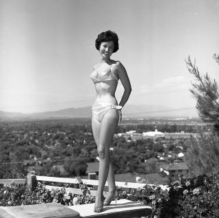 1960s Ron Vogel Negative,  Sexy Pinup Girl Lorraine Campbell,  Cheesecake,  T243945
