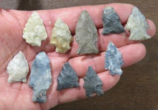 Group Of 10 Colorful Archaic - Woodland Points,  Great Examples,  Ohio 1 To 2 Inches