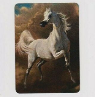 Swap Playing Cards 1 Lovely Grey Arab Horse