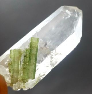 72 Carat Lustrous Tourmaline Crystal On Quartz@pak