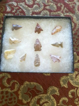 Group Of 10 Birdpoint Arrowhead Indian Artifacts From East Tn Case