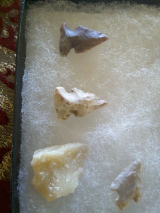 Group of 10 Birdpoint Arrowhead Indian Artifacts from East TN Case 3