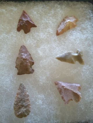 Group of 10 Birdpoint Arrowhead Indian Artifacts from East TN Case 4