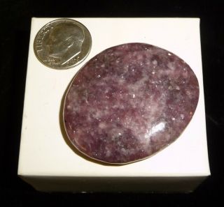 Dino: Lepidolite Crystal Polished Smooth Stone Brazil 20 Grams Chakra Stone