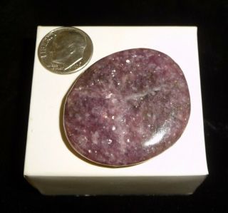 Dino: Lepidolite Crystal Polished Smooth Stone Brazil 20 grams Chakra Stone 2