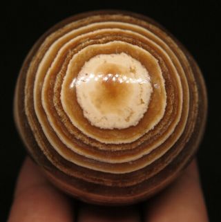 47mm 5oz Natural Brown Aragonite Crystal Sphere Ball