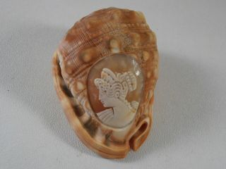 Helmet Conch Shell Cameo Hand Carved Portrait Woman Roman Goddess Italy