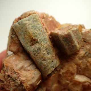Apatite In Feldspar From Rare Locality Loucna,  Czech Republic