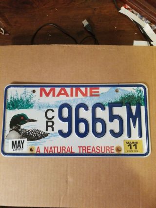2011 Maine " Loon/a Natural Treasure " Graphic License Plate (cr 9665m)