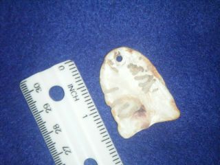 1 1/2 In.  Authentic Artifact,  Shell Pendant From Hillsborough Co.  Florida