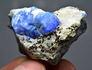 56 Gm Fluorescent Well Terminated Unknown Blue Crystal W/calcite&pyrite On Matrx