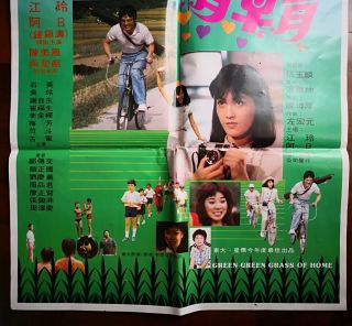 1983年鐘鎮濤主演的台灣“在那河畔青草青”電影海報 Taiwan Hong Kong CHINA CHINESE Movie Poster Document 3