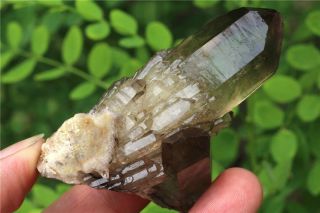109g NATURALTibetan skeletal smoky Quartz Crystal Cluster POINT mineral Specimen 2