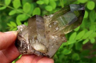 109g NATURALTibetan skeletal smoky Quartz Crystal Cluster POINT mineral Specimen 4