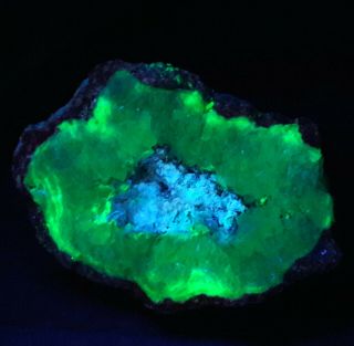 Sw Uv Fluorescent Green Quartz Mineral Geode Nodule,  Wolf Creek Pass,  Colorado