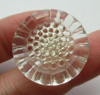 Antique Vtg Clear Glass Button Realistic Flower Design 1 - 1/8 " (m)