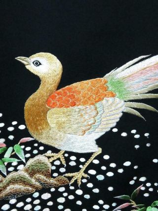 01abcf 1834 Silk Vintage Tomesode Japanese Kimono Fabric Embroidery Birds