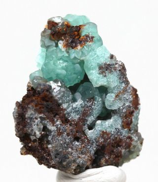 Rare SMITHSONITE Crystal Cluster Mineral Specimen CHIHUAHUA MEXICO 3