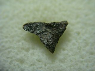 Nwa 521 Meteorite Ck4 Carbonaceous Chondrite Rare Northwest Africa Imca
