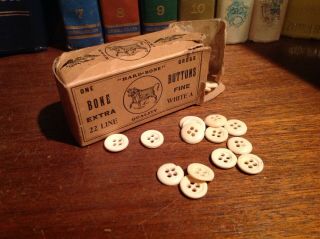 Vintage One Gross Extra Fine White A Bone Buttons